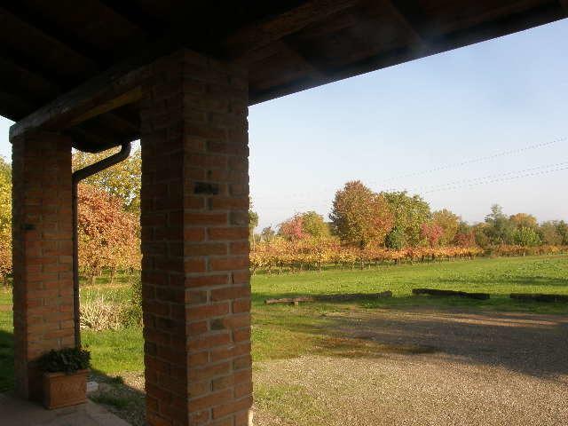 Agriturismo Bosco Del Fracasso Scandiano Exterior photo